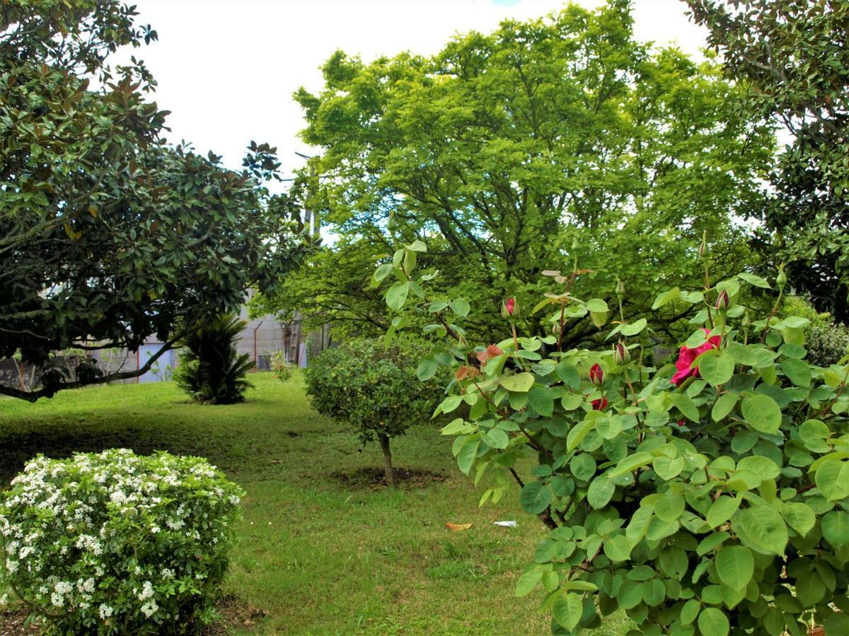 Albergue Pallanes Tui Exterior foto